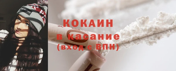 прущие грибы Горнозаводск