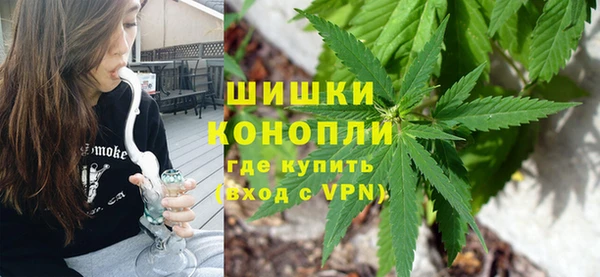 прущие грибы Горнозаводск