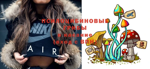прущие грибы Горнозаводск