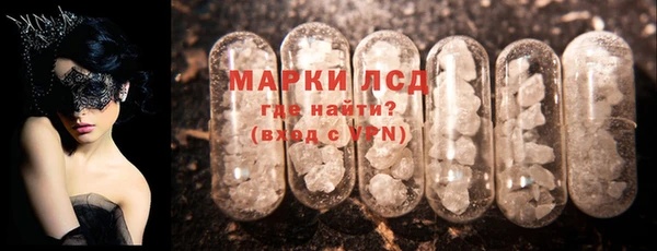 прущие грибы Горнозаводск