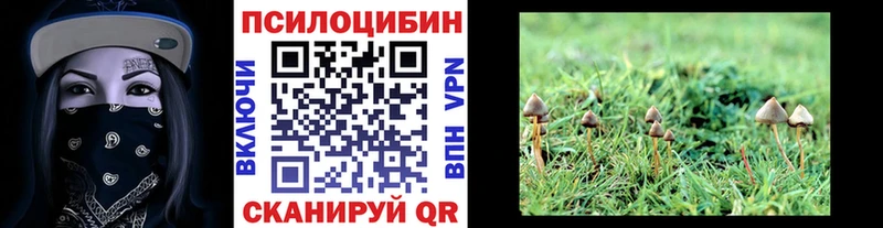 Псилоцибиновые грибы Cubensis  KRAKEN   Рыльск 