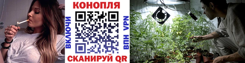 shop как зайти  купить наркотики сайты  Рыльск  Бошки марихуана тримм 